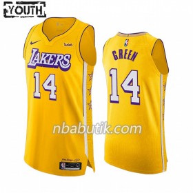 NBA Børn Trøje Los Angeles Lakers Danny Green 14 Nike 2019-20 City Edition Swingman
